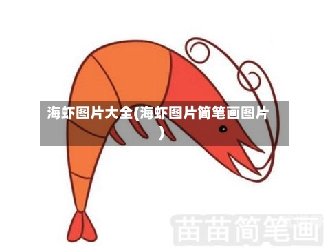 海虾图片大全(海虾图片简笔画图片)