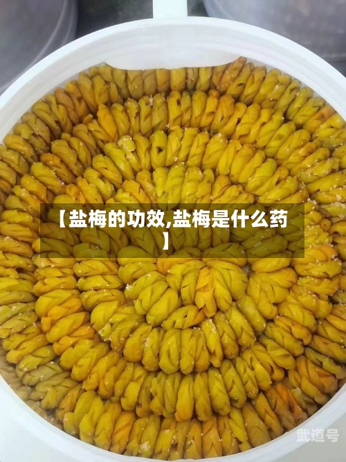 【盐梅的功效,盐梅是什么药】