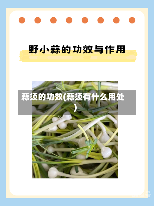 蒜须的功效(蒜须有什么用处)