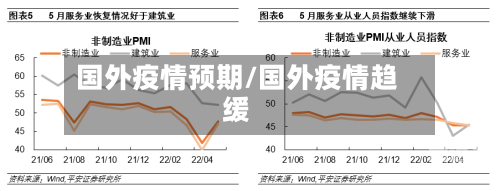 国外疫情预期/国外疫情趋缓