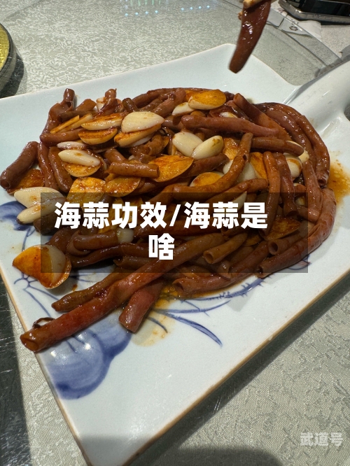 海蒜功效/海蒜是啥