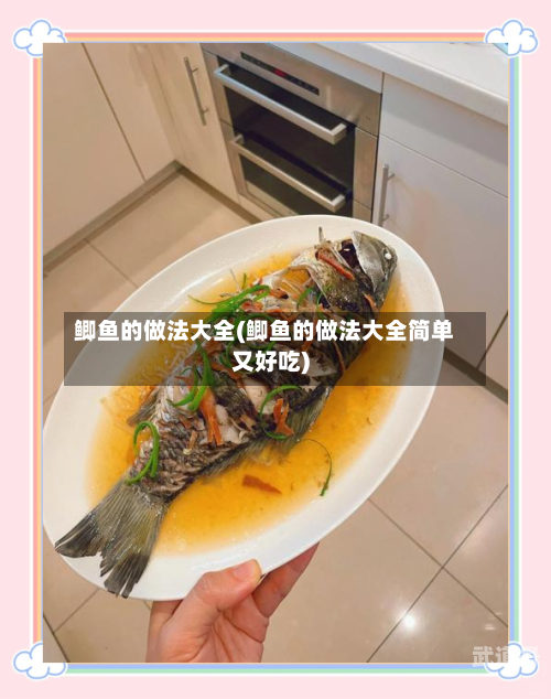 鲫鱼的做法大全(鲫鱼的做法大全简单又好吃)