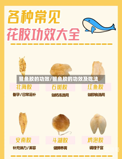 鳘鱼胶的功效/鳘鱼胶的功效及吃法