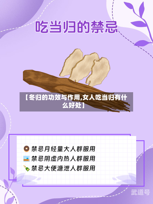【冬归的功效与作用,女人吃当归有什么好处】