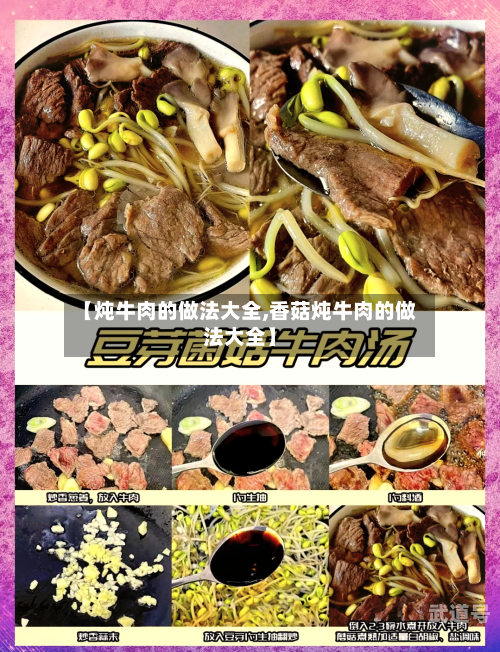 【炖牛肉的做法大全,香菇炖牛肉的做法大全】