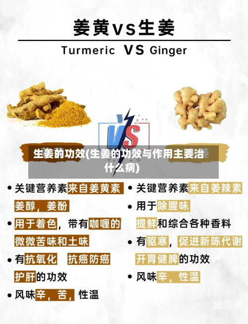 生姜的功效(生姜的功效与作用主要治什么病)