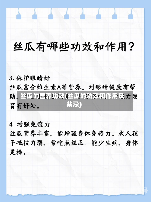 丝瓜的营养功效(丝瓜的功效和作用及禁忌)