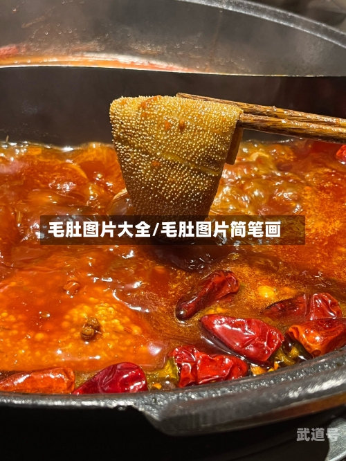 毛肚图片大全/毛肚图片简笔画