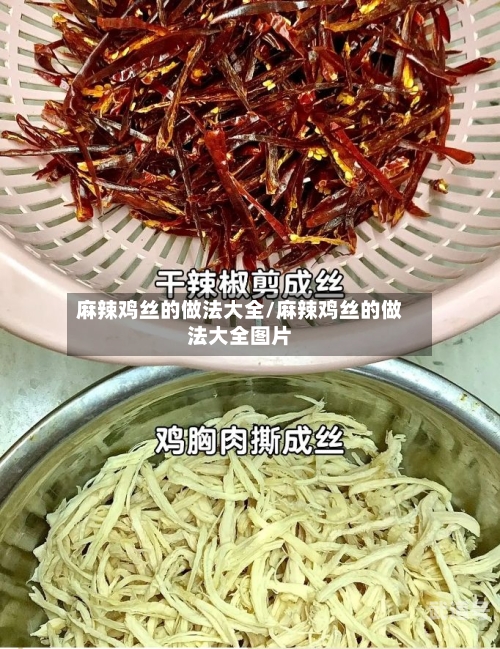 麻辣鸡丝的做法大全/麻辣鸡丝的做法大全图片