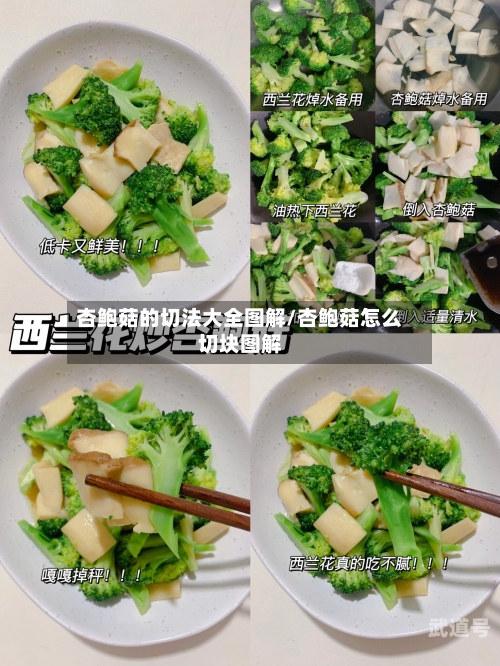 杏鲍菇的切法大全图解/杏鲍菇怎么切块图解