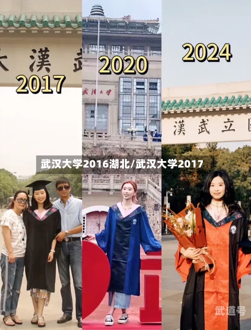 武汉大学2016湖北/武汉大学2017