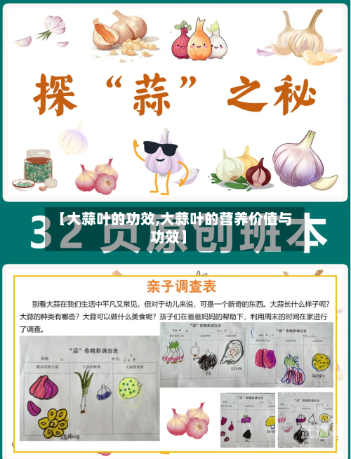 【大蒜叶的功效,大蒜叶的营养价值与功效】