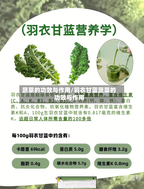蔬菜的功效与作用/羽衣甘蓝蔬菜的功效与作用