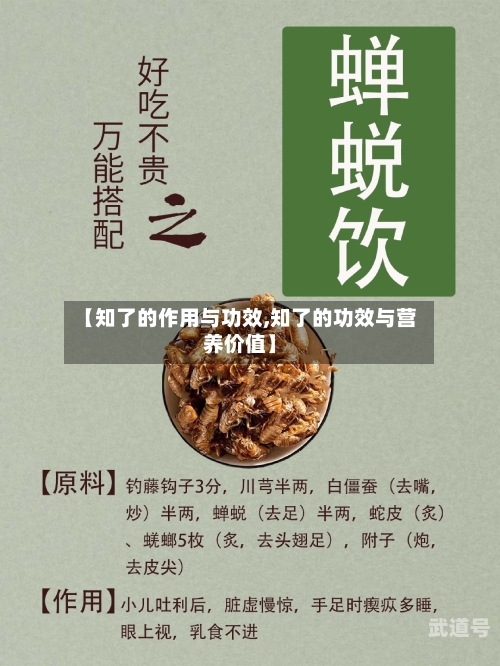 【知了的作用与功效,知了的功效与营养价值】
