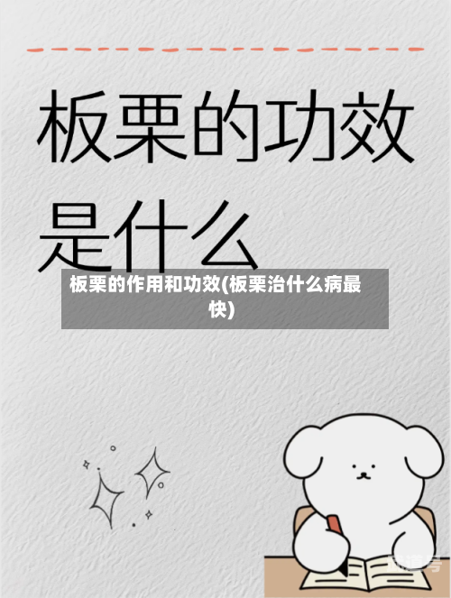 板栗的作用和功效(板栗治什么病最快)