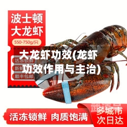 大龙虾功效(龙虾功效作用与主治)