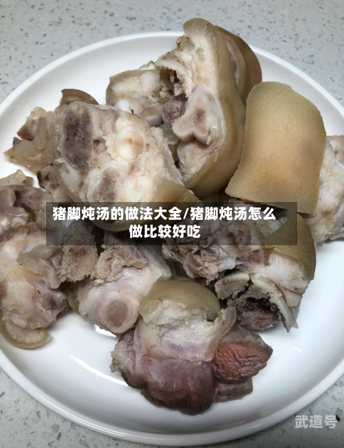 猪脚炖汤的做法大全/猪脚炖汤怎么做比较好吃