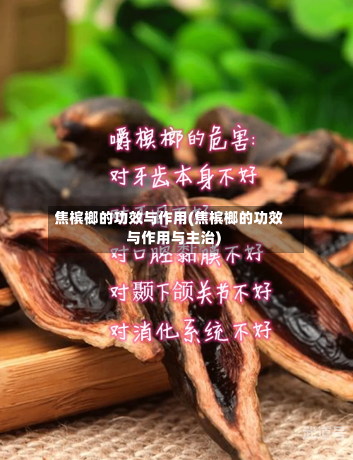焦槟榔的功效与作用(焦槟榔的功效与作用与主治)