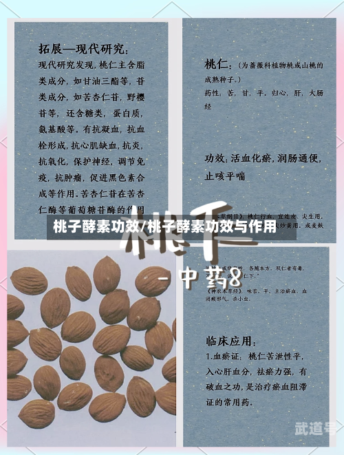 桃子酵素功效/桃子酵素功效与作用
