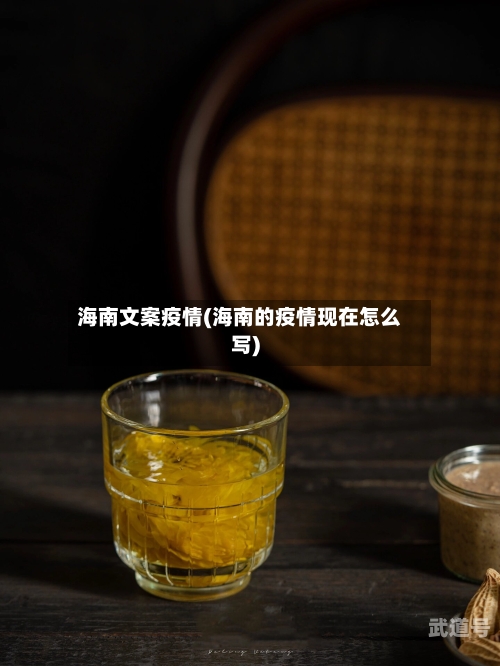 海南文案疫情(海南的疫情现在怎么写)-第3张图片
