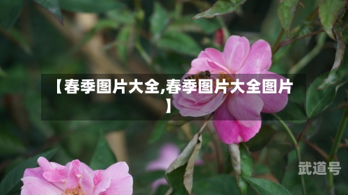 【春季图片大全,春季图片大全图片】