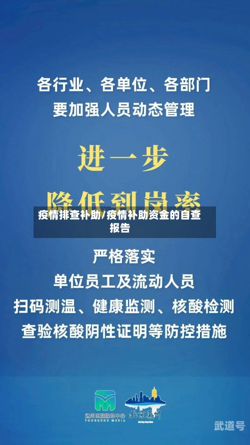 疫情排查补助/疫情补助资金的自查报告