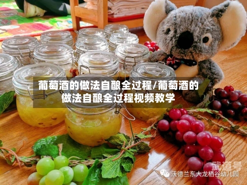 葡萄酒的做法自酿全过程/葡萄酒的做法自酿全过程视频教学