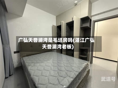 广弘天誉澜湾是毛坯房吗(湛江广弘天誉澜湾老板)