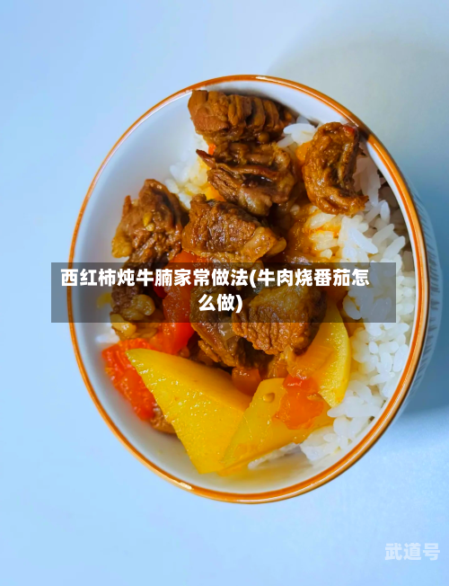 西红柿炖牛腩家常做法(牛肉烧番茄怎么做)