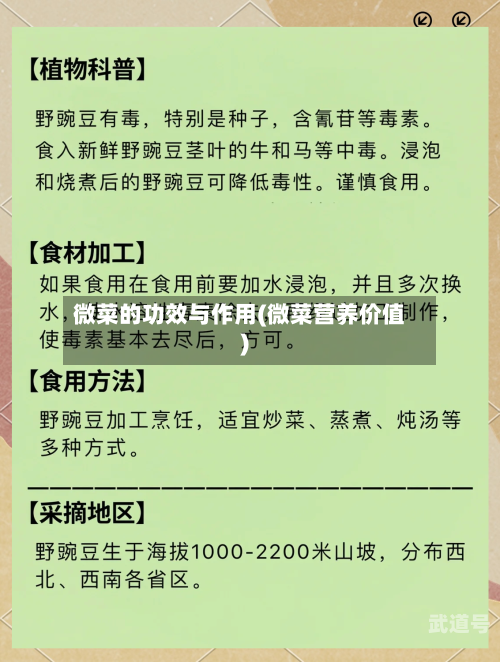 微菜的功效与作用(微菜营养价值)