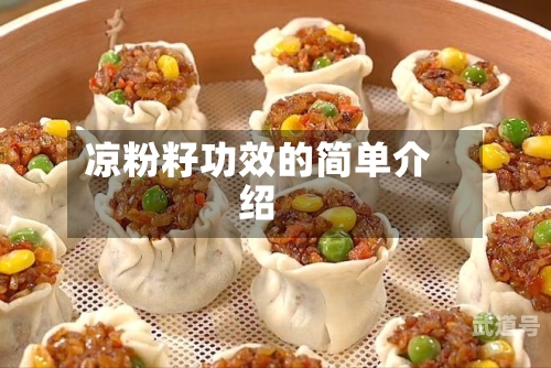 凉粉籽功效的简单介绍