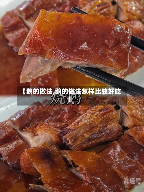 【鹅的做法,鹅的做法怎样比较好吃】
