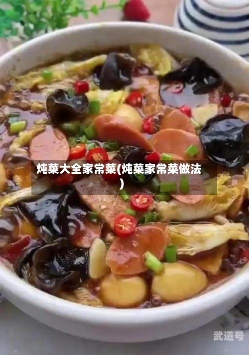 炖菜大全家常菜(炖菜家常菜做法)