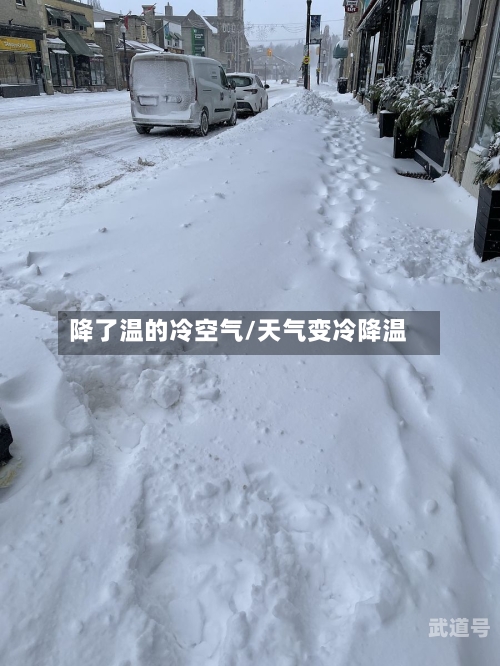降了温的冷空气/天气变冷降温