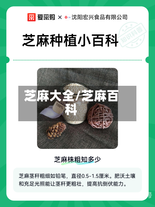 芝麻大全/芝麻百科