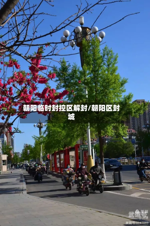朝阳临时封控区解封/朝阳区封城