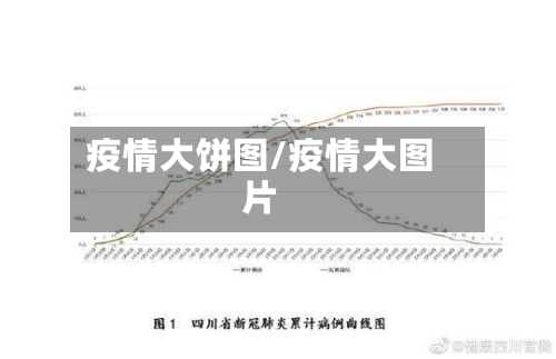 疫情大饼图/疫情大图片