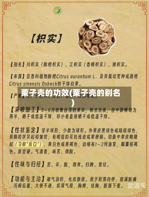粟子壳的功效(粟子壳的别名)