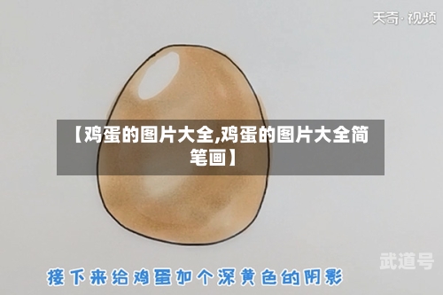 【鸡蛋的图片大全,鸡蛋的图片大全简笔画】