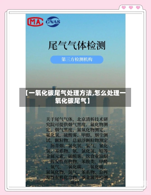 【一氧化碳尾气处理方法,怎么处理一氧化碳尾气】