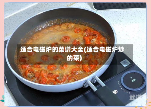 适合电磁炉的菜谱大全(适合电磁炉炒的菜)