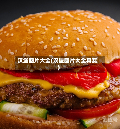 汉堡图片大全(汉堡图片大全真实)