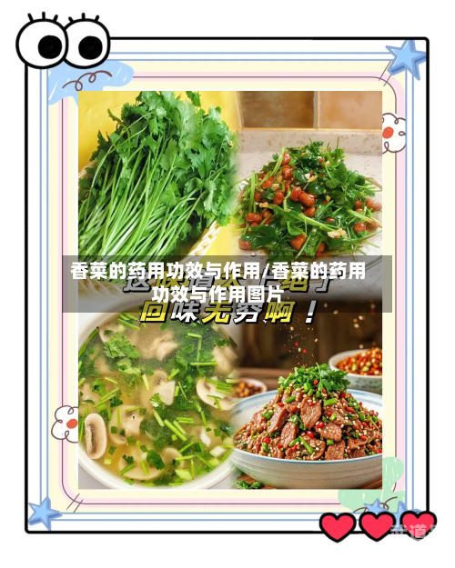 香菜的药用功效与作用/香菜的药用功效与作用图片