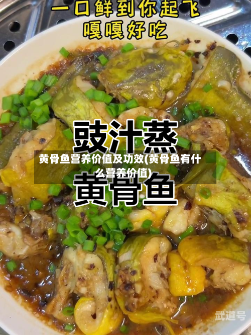 黄骨鱼营养价值及功效(黄骨鱼有什么营养价值)
