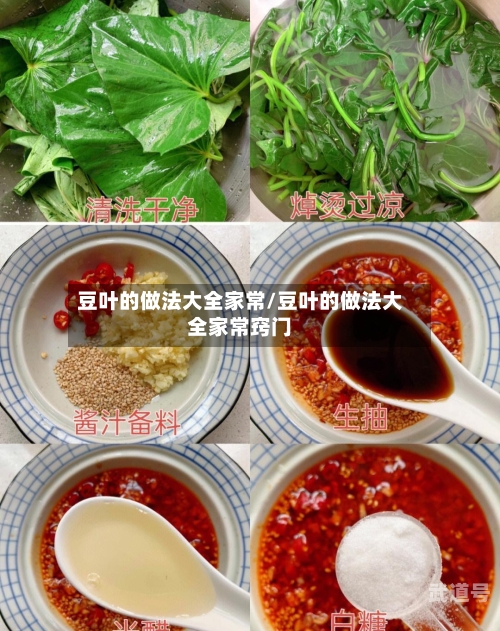 豆叶的做法大全家常/豆叶的做法大全家常窍门
