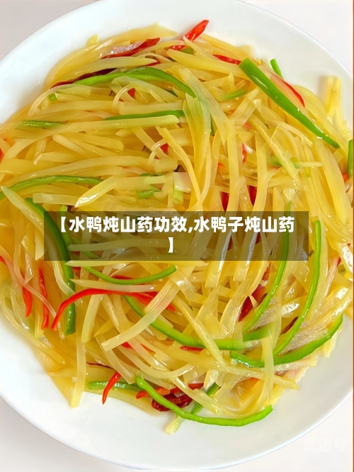 【水鸭炖山药功效,水鸭子炖山药】