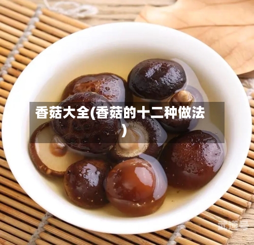 香菇大全(香菇的十二种做法)