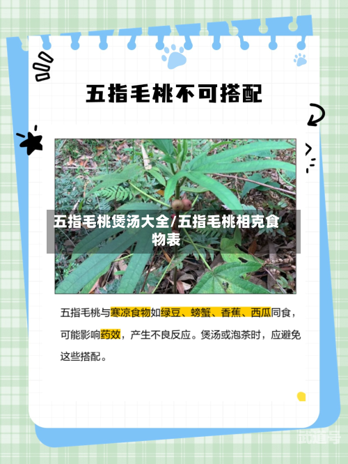 五指毛桃煲汤大全/五指毛桃相克食物表