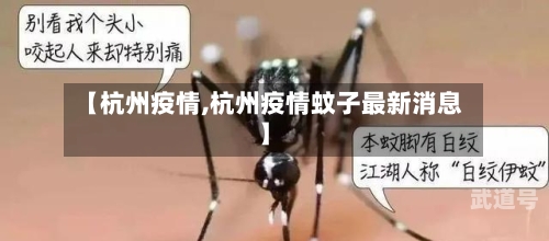 【杭州疫情,杭州疫情蚊子最新消息】