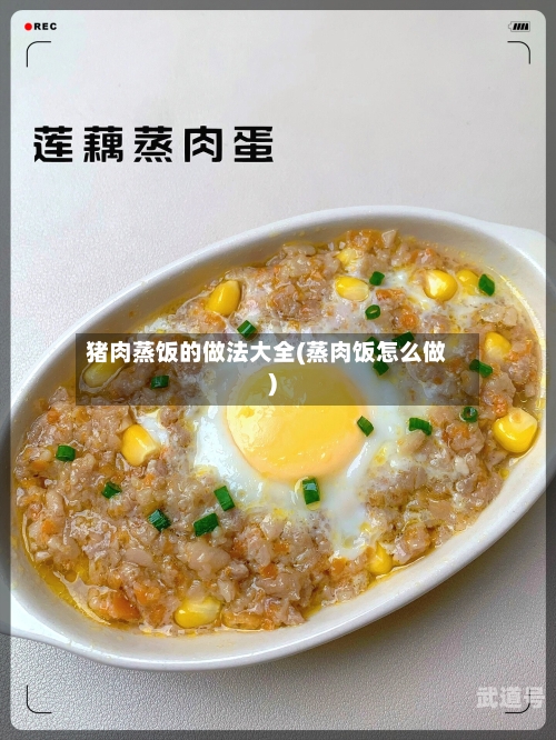 猪肉蒸饭的做法大全(蒸肉饭怎么做)-第3张图片